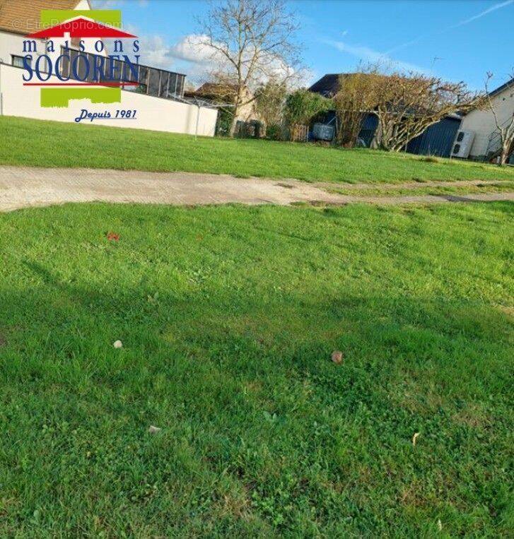 Terrain à MONTFORT-LE-GESNOIS