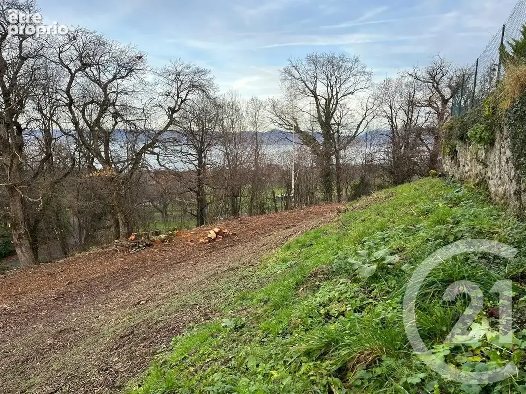 Terrain 1 458 m² à vendre à Maxilly-Sur-Leman (74500) - photo 9