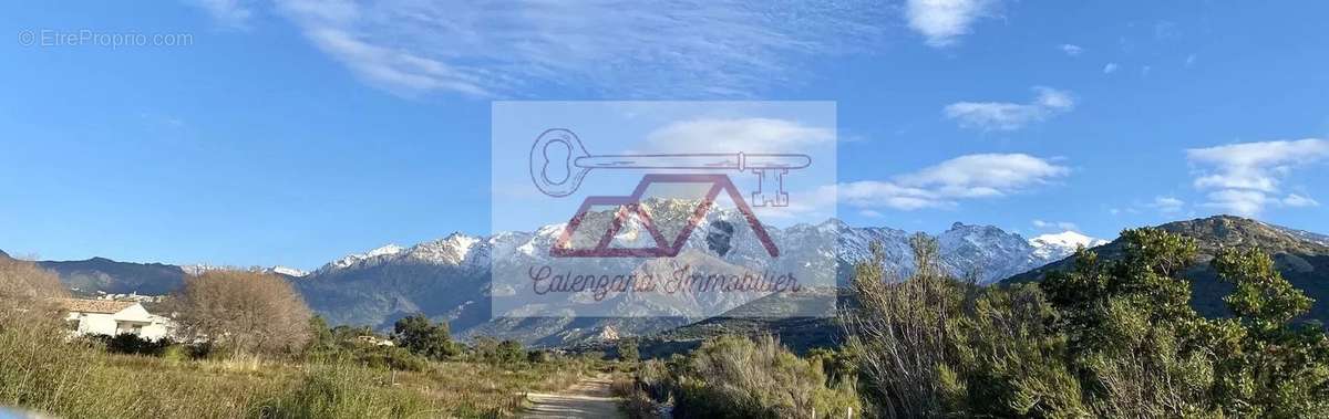 Terrain à CALENZANA