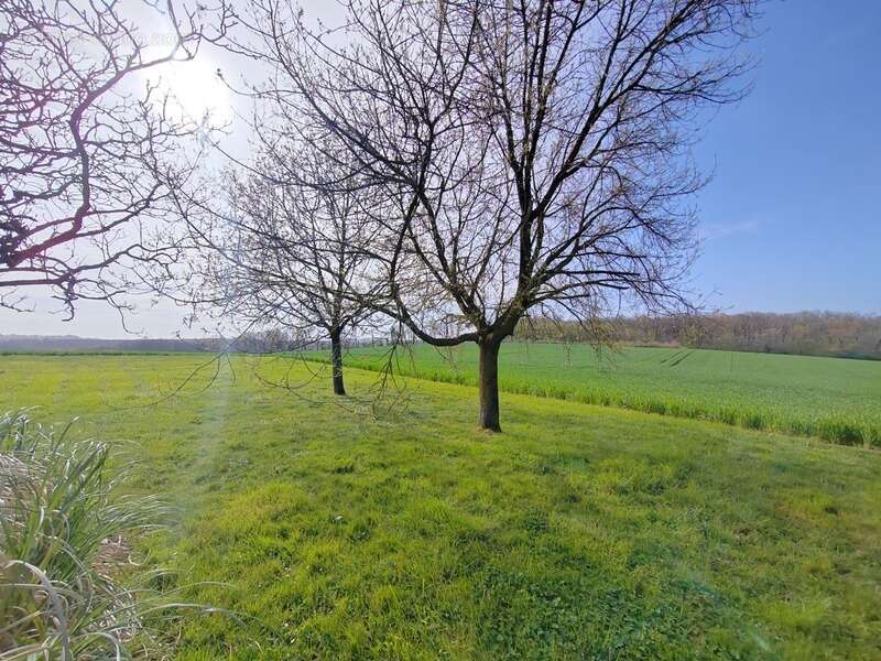 Située à MIRAMONT LATOUR, maison à rénover avec vue panoramique - photo 3
