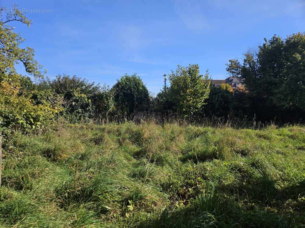 Appartement à BRUYERES