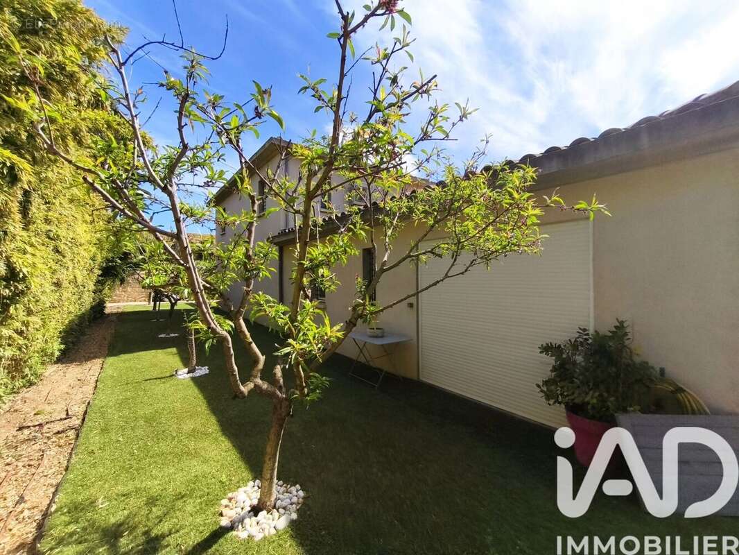 Photo 8 - Maison à SANARY-SUR-MER