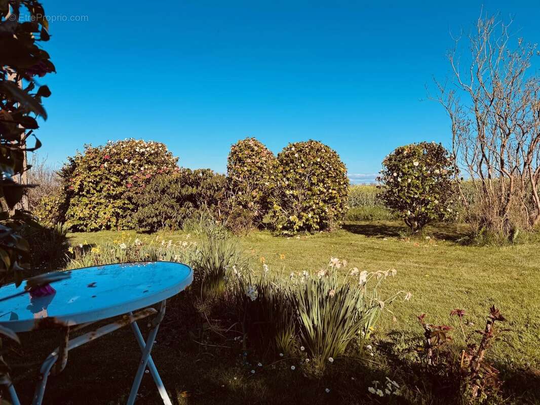 Maison à SAINT-SEGAL