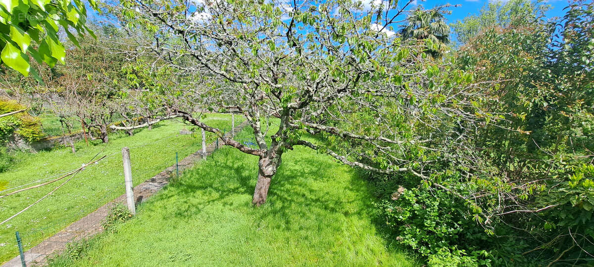 Appartement à OLORON-SAINTE-MARIE