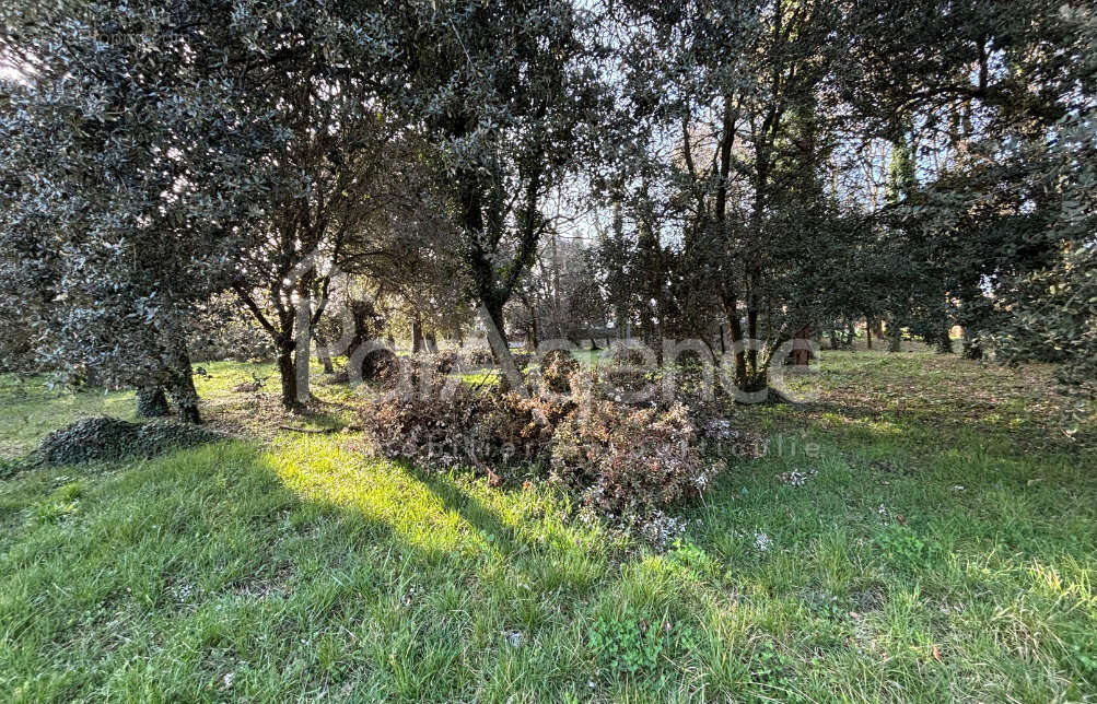 Terrain à MESCHERS-SUR-GIRONDE