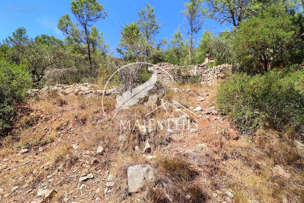 Terrain à BELGENTIER