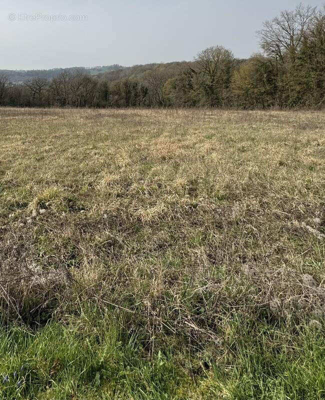 Terrain à SAINT-QUENTIN