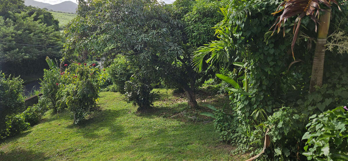 Maison à RIVIERE-SALEE