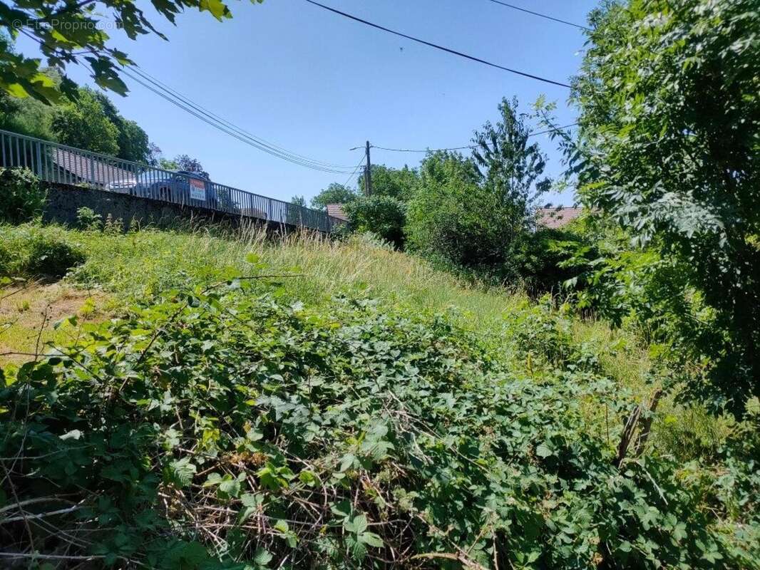 Photo 5 - Terrain à SAINT-THIEBAUD