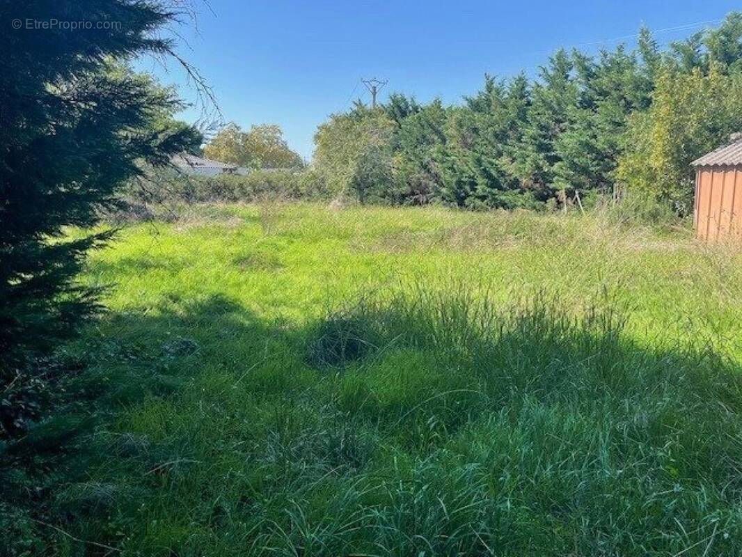 Photo 1 - Terrain à SAINT-JORY