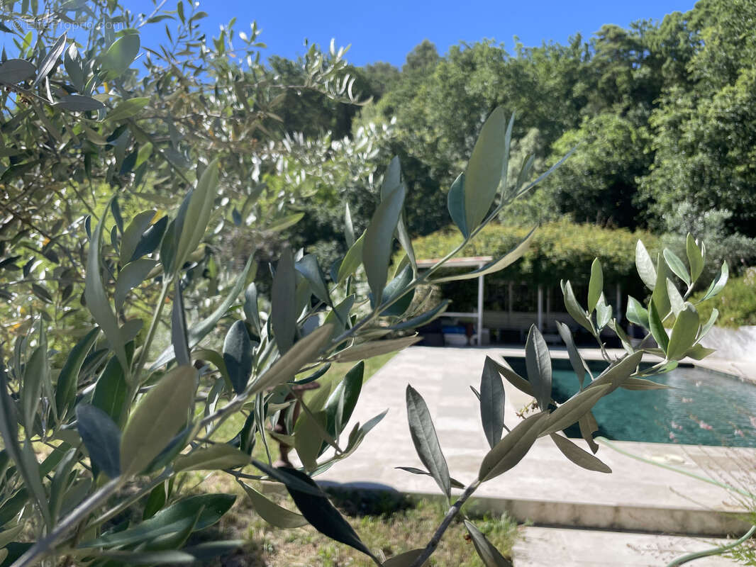 Vaison / maison de caractere / terrain 3000m2 / piscine / vue ventoux - photo 13