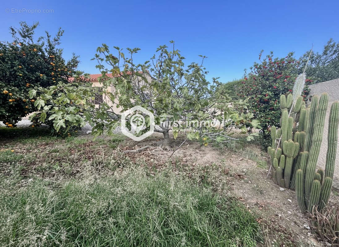 Maison à ILLE-SUR-TET