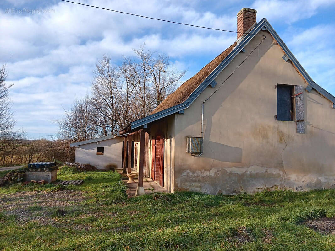 MAISON À VENDRE ENVIRON 100 m² - Maison à BEAUREPAIRE-EN-BRESSE