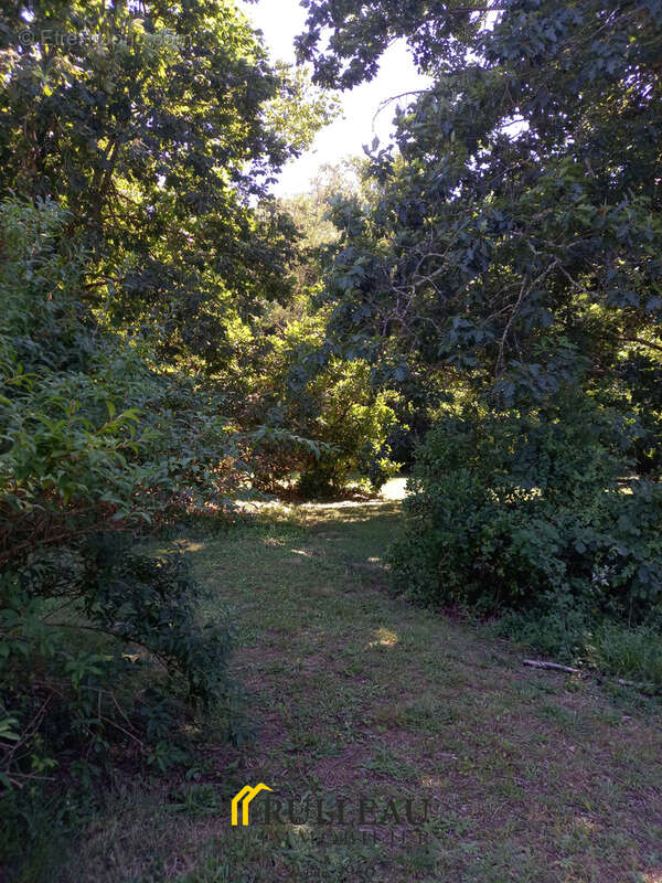 Maison à SAINT-CHRISTOLY-DE-BLAYE