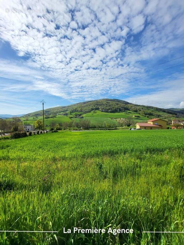 Terrain à ANCY
