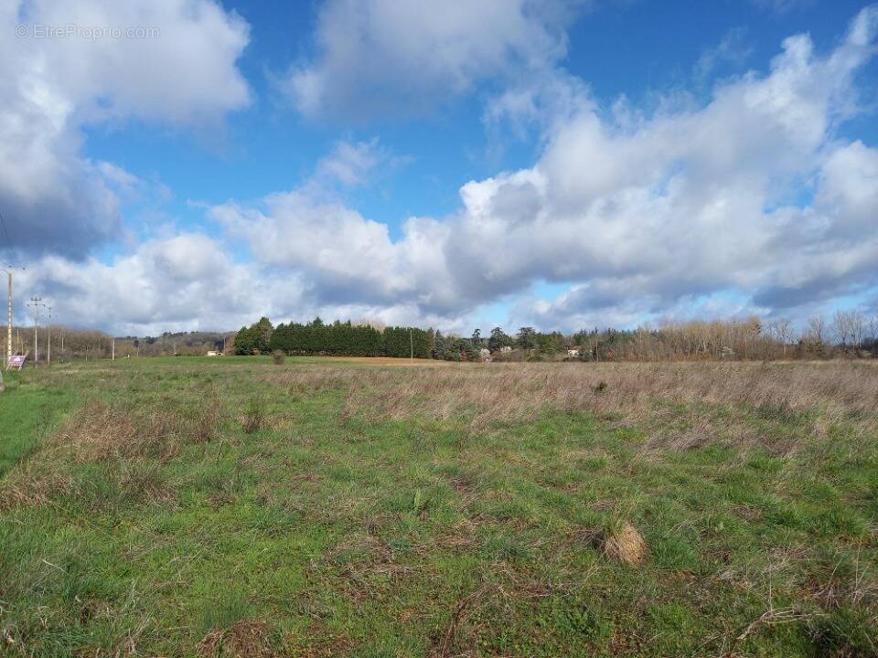 Terrain à BUSQUE