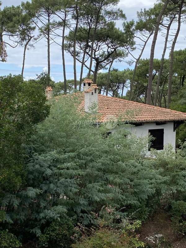 Maison à LE BOUSCAT