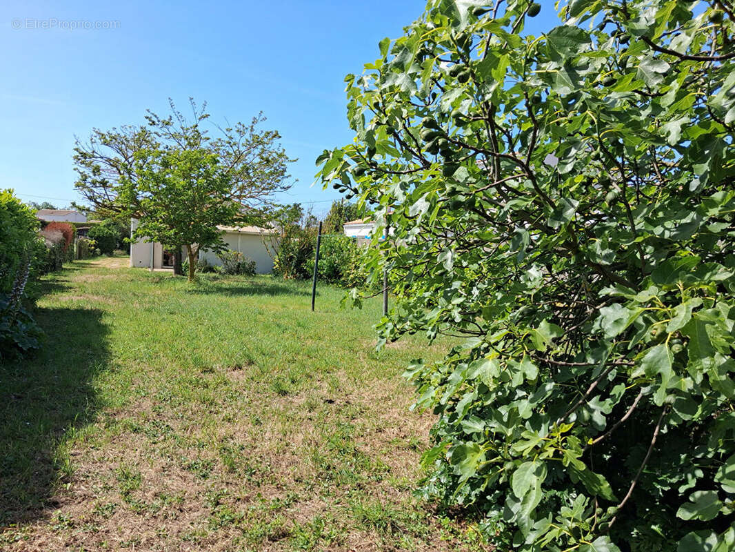 Maison à SAINT-PIERRE-D'OLERON