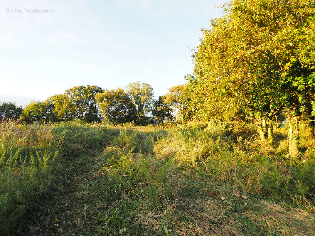 Terrain à CONCARNEAU