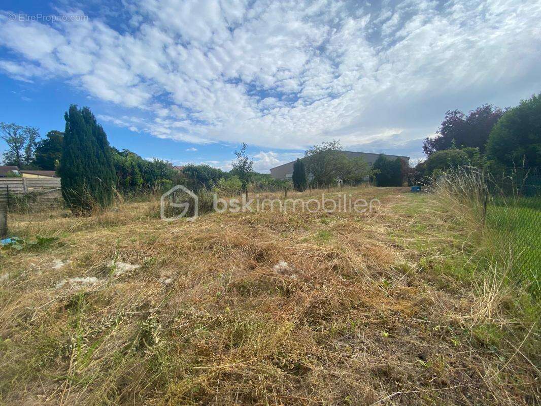 Terrain constructible de 1006 m2 à Suippes - photo 2