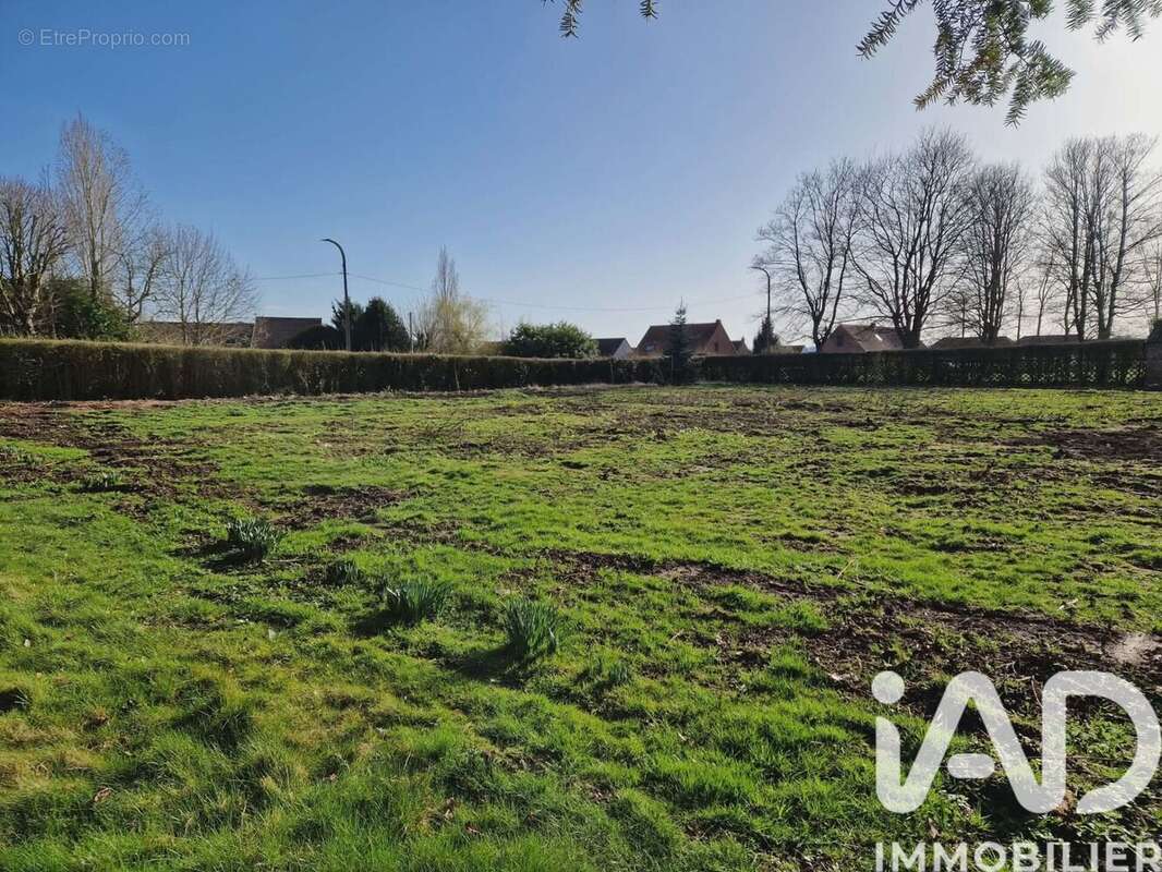 Photo 3 - Terrain à MAZINGARBE