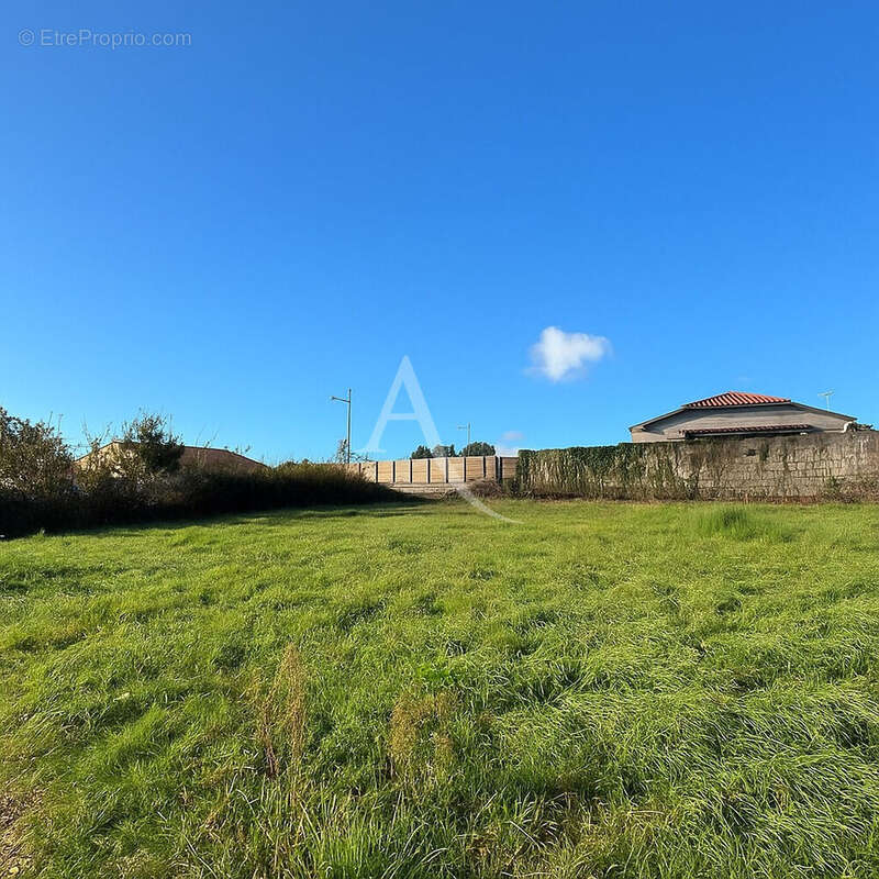 Terrain à LE FENOUILLER