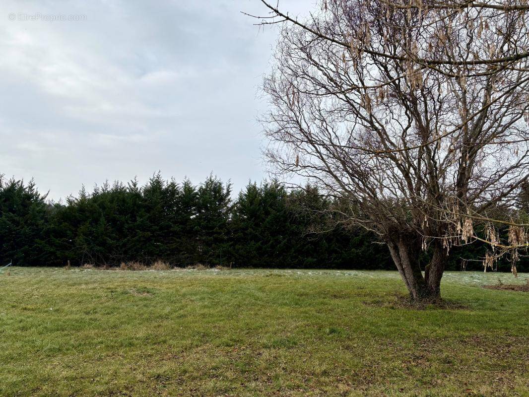 Terrain à RAZAC-SUR-L'ISLE