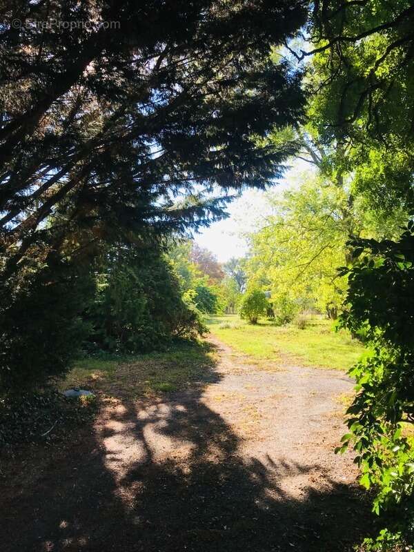 Terrain à LE CHAUTAY