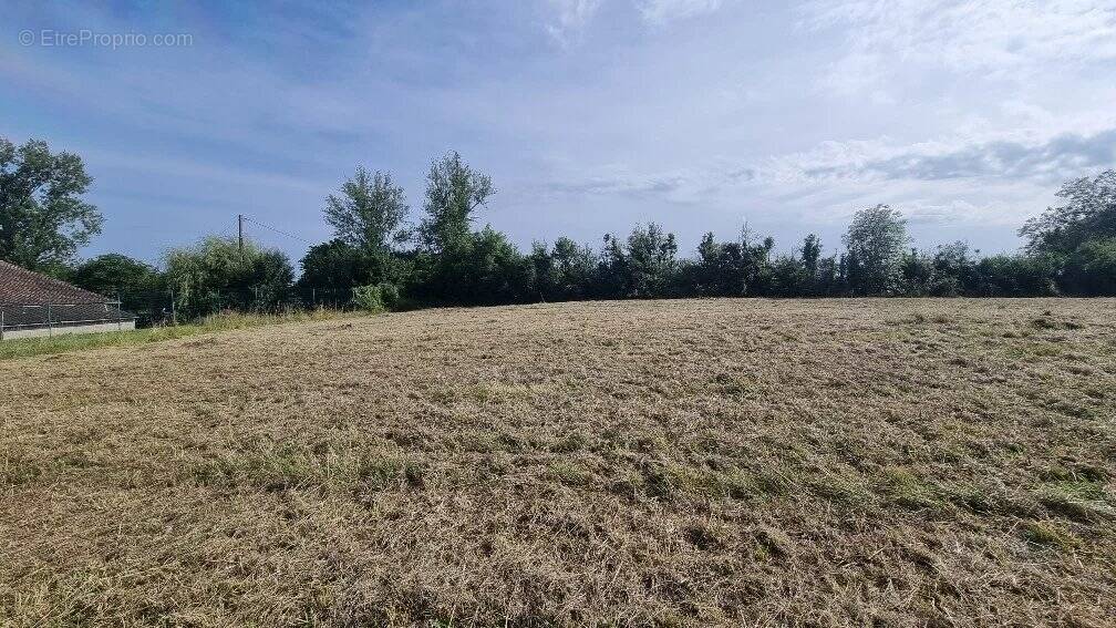 Terrain à CASTELNAU-MONTRATIER