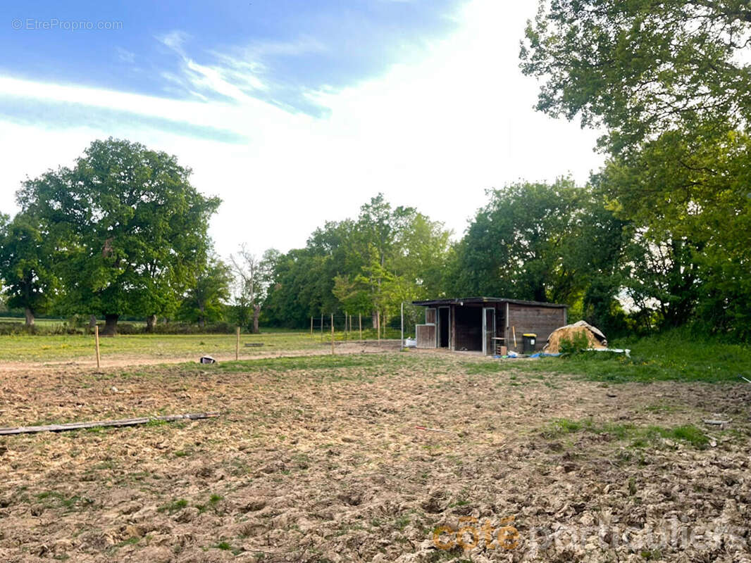 Maison avec 3 hectares à la campagne - photo 7