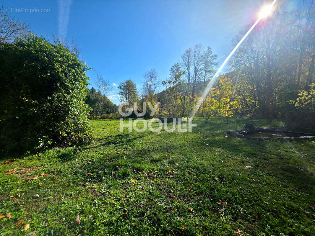 Maison à SAINT-JULIEN-LA-VETRE