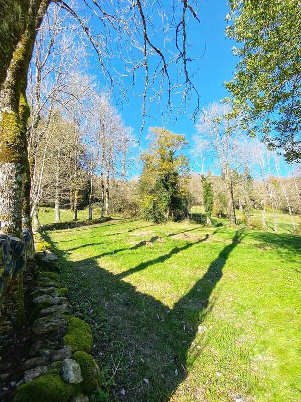 Photo 4 - Terrain à ANGLES