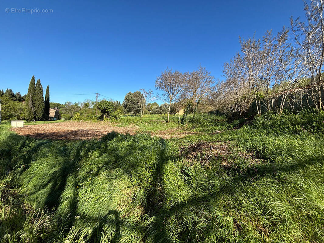 Terrain à VILLECROZE