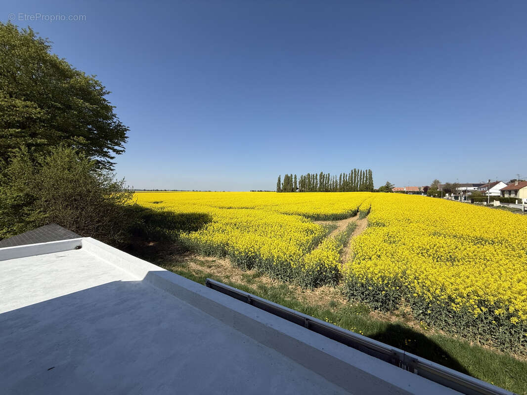 Maison à ROISSY-EN-FRANCE