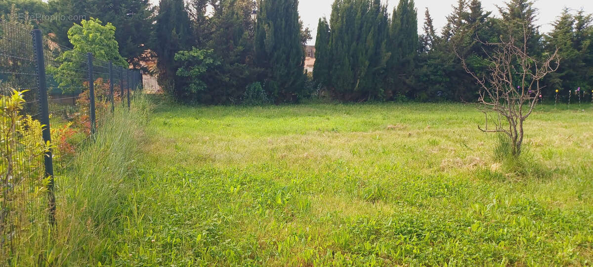 Terrain à GUZARGUES