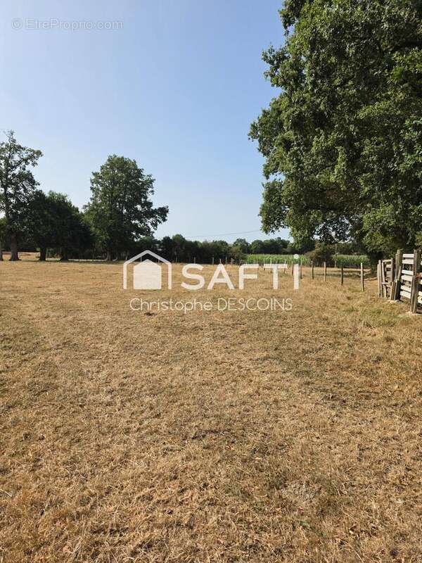 Terrain 96004 m² à Loiron  - photo 4