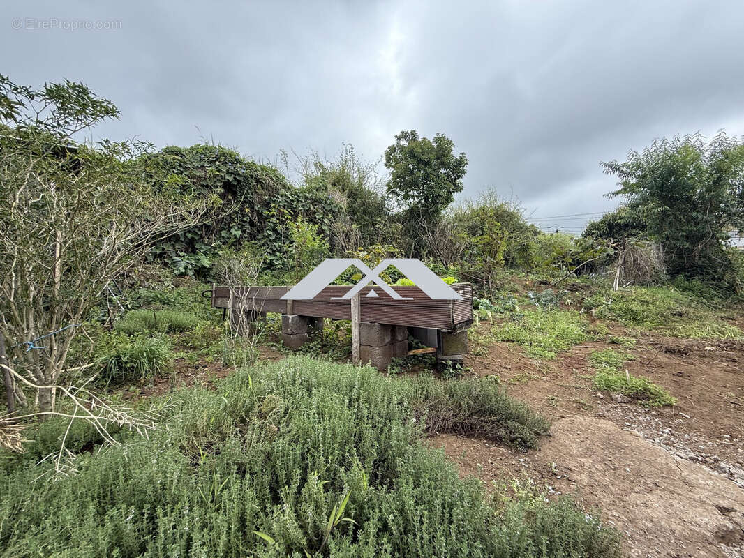 Terrain à LE TAMPON