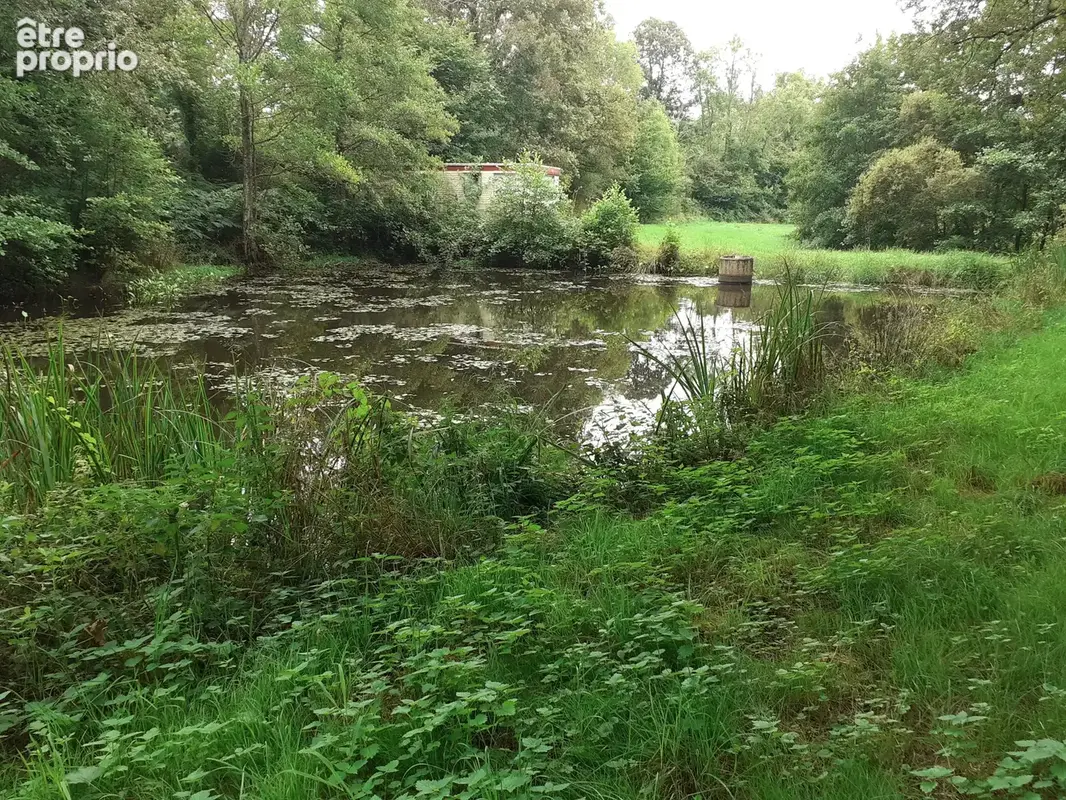 Terrain de loisirs avec etang - photo 6