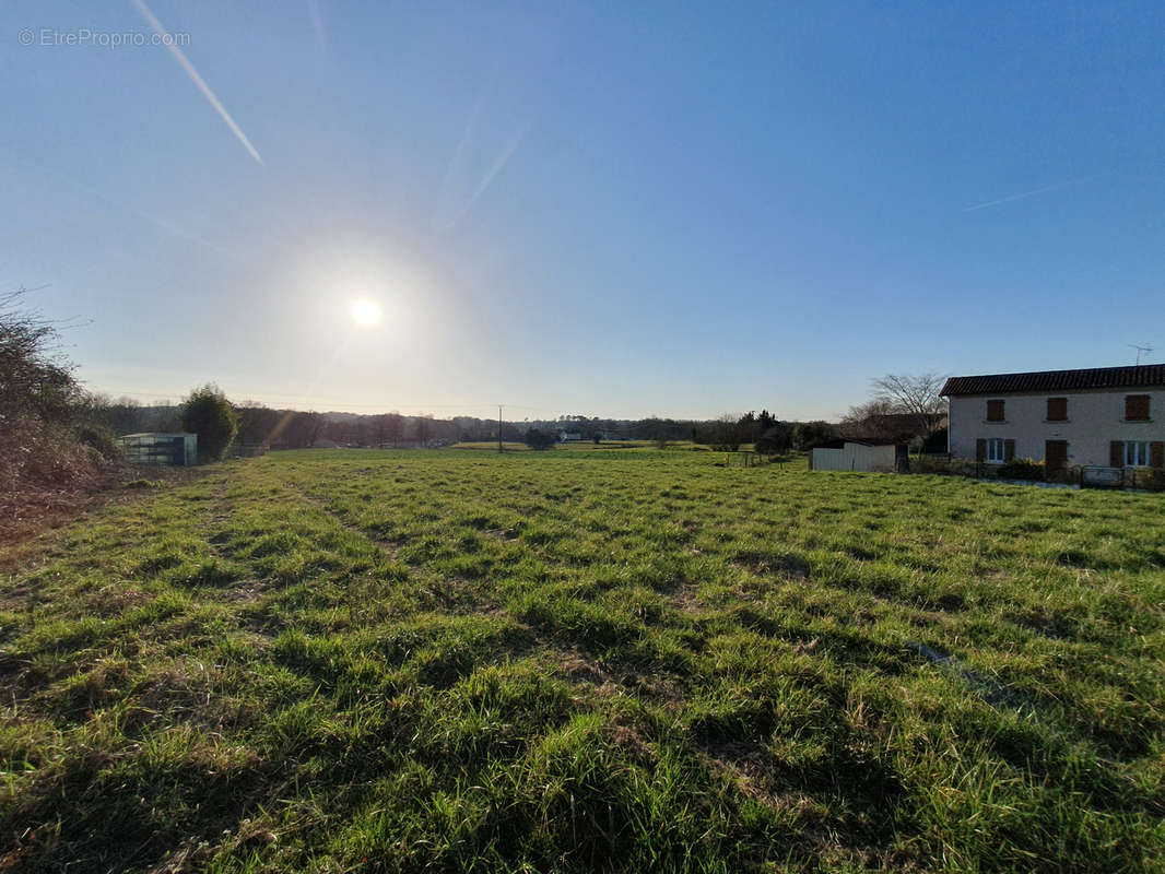 Terrain à SAINT-SEVER