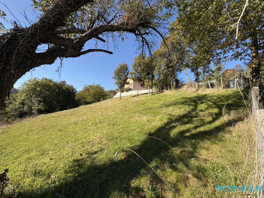 Terrain à SAINT-FORGEUX