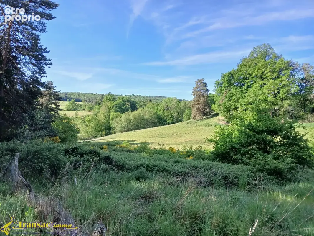 Maison 145 m2 - 10km de Lezoux - photo 13