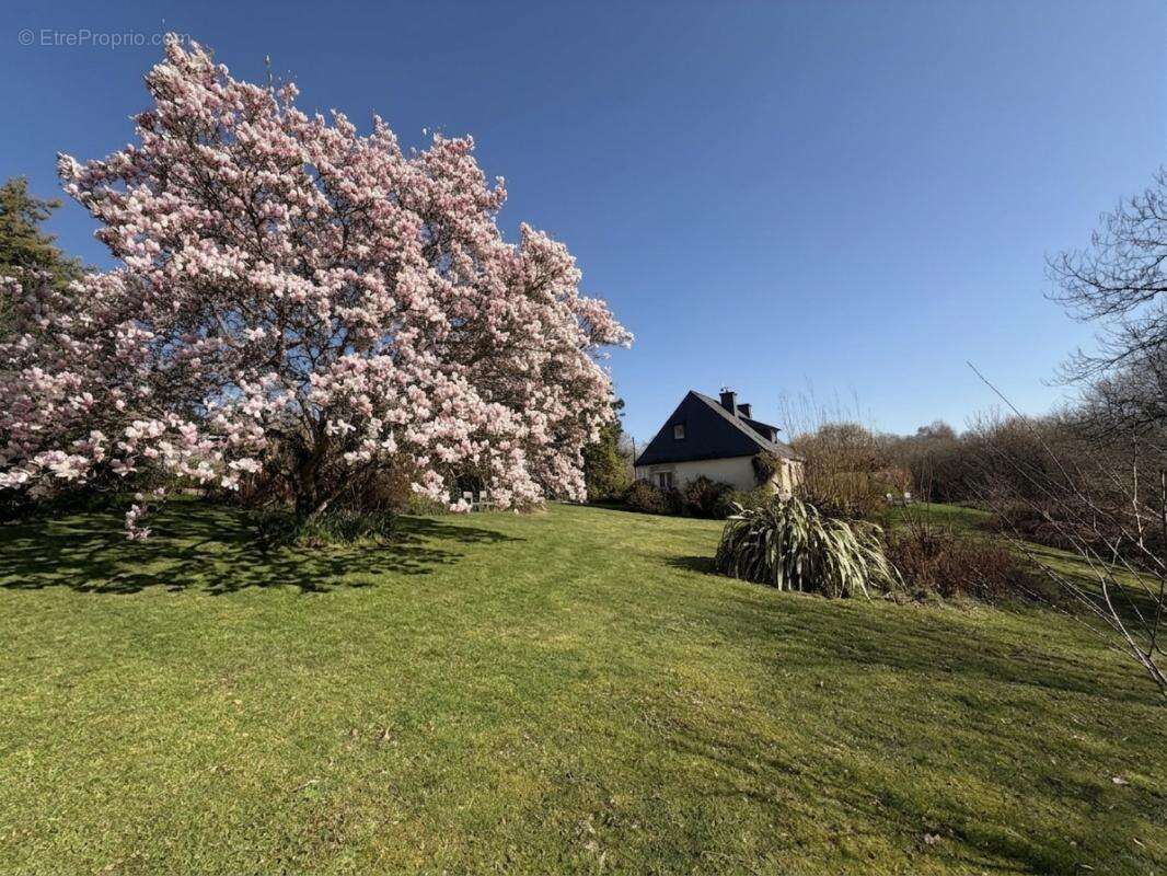 Charmante Maison T4 de 100m2 - Caudan - photo 7