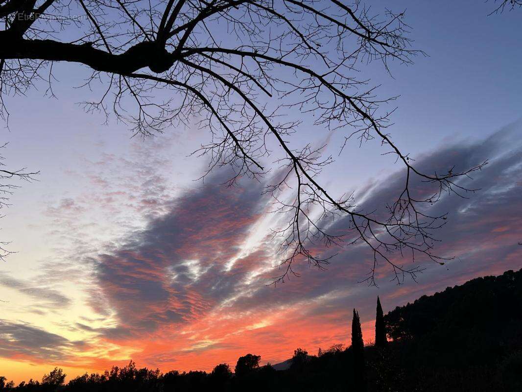 Terrain à TOURRETTES