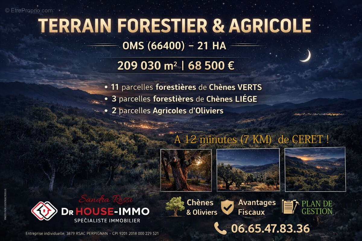 Terrain à OMS