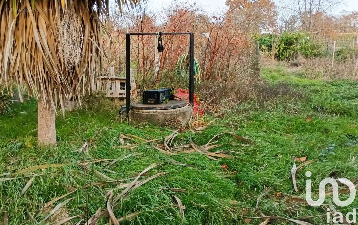 Photo 3 - Maison à SAINT-SORNIN-LAVOLPS