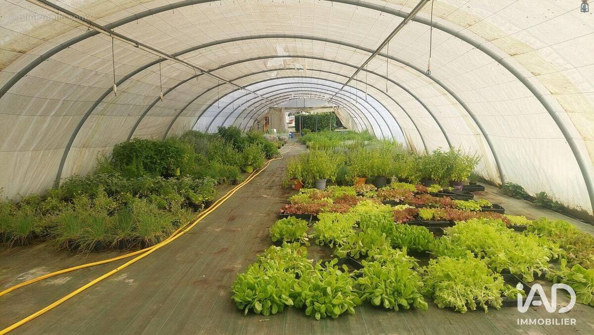 Photo 1 - Commerce à SAINT-MAGNE-DE-CASTILLON