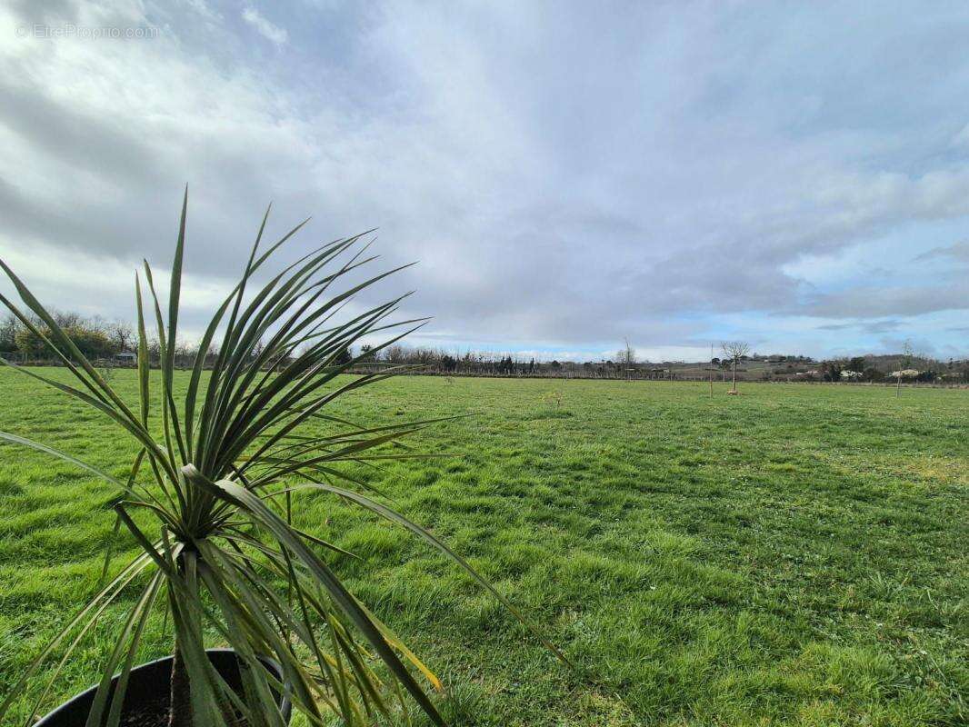 Maison à SAINT-MARTIN-DE-SESCAS