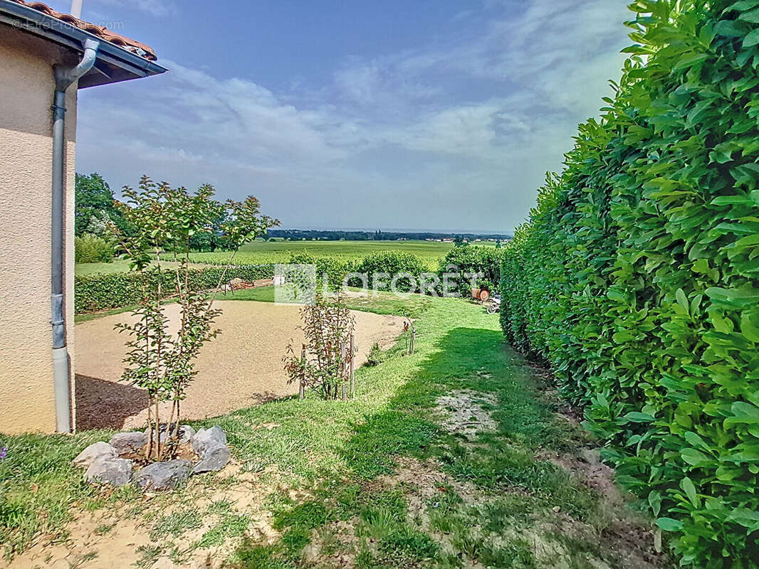 Maison à VILLIE-MORGON