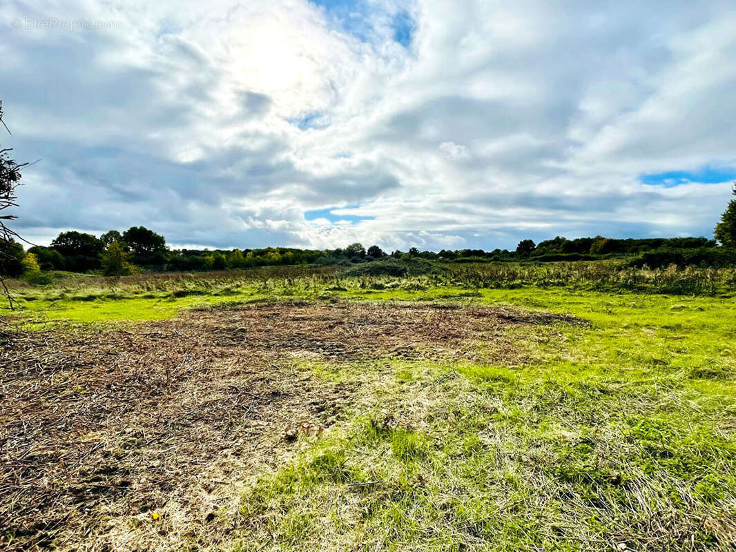 Maison à LAVAUSSEAU