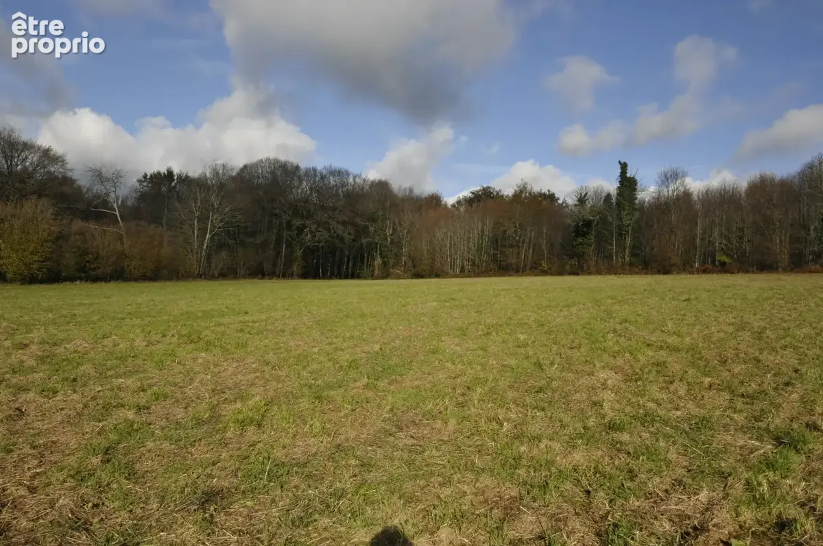 Terrain Agricole ou de Loisir d'un seul tenant, idéal pour chevaux ou animaux - photo 7